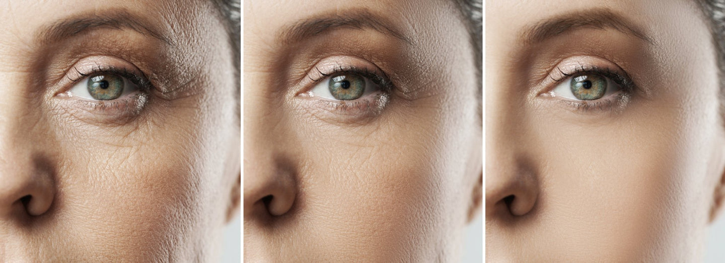 Biologisches Alter: messen & optimieren - LIFETIME Longevity & Health