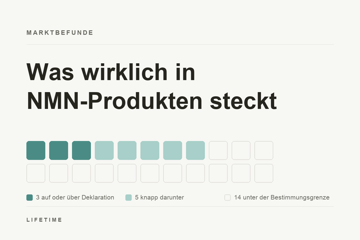 22 Kacheln stehen für 22 untersuchte NMN-Produkte: drei erreichten die Deklaration, fünf lagen knapp darunter, 14 unter der Bestimmungsgrenze.