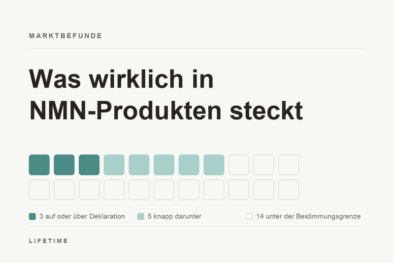 22 Kacheln stehen für 22 untersuchte NMN-Produkte: drei erreichten die Deklaration, fünf lagen knapp darunter, 14 unter der Bestimmungsgrenze.