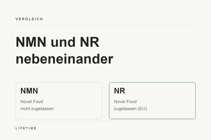 Vergleich NMN und NR: NMN ist in der EU nicht zugelassen, NR ist als Novel Food zugelassen.