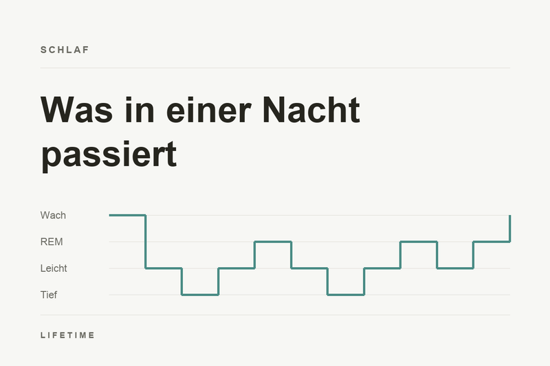 Schematisches Hypnogramm einer Nacht: Der Schlaf wechselt zwischen Wach, REM, Leichtschlaf und Tiefschlaf und wiederholt diese Zyklen mehrmals.