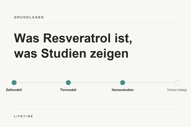 Titelbild des Beitrags: Was Resveratrol ist, was Studien zeigen. Stufen von Zellmodell über Tiermodell und Humanstudien bis Nutzen belegt.