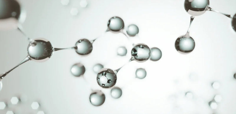 Die Biologie des Alterns - LIFETIME Longevity & Health
