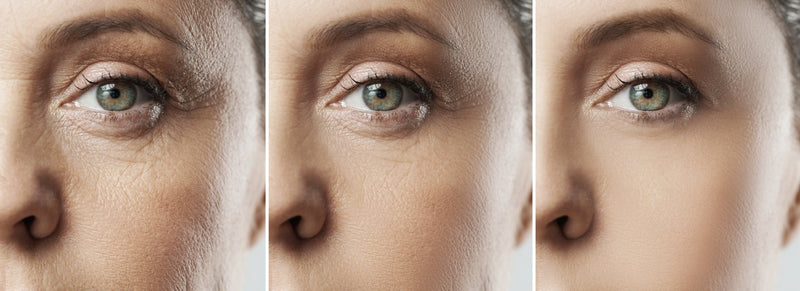 Biologisches Alter: messen & optimieren - LIFETIME Longevity & Health