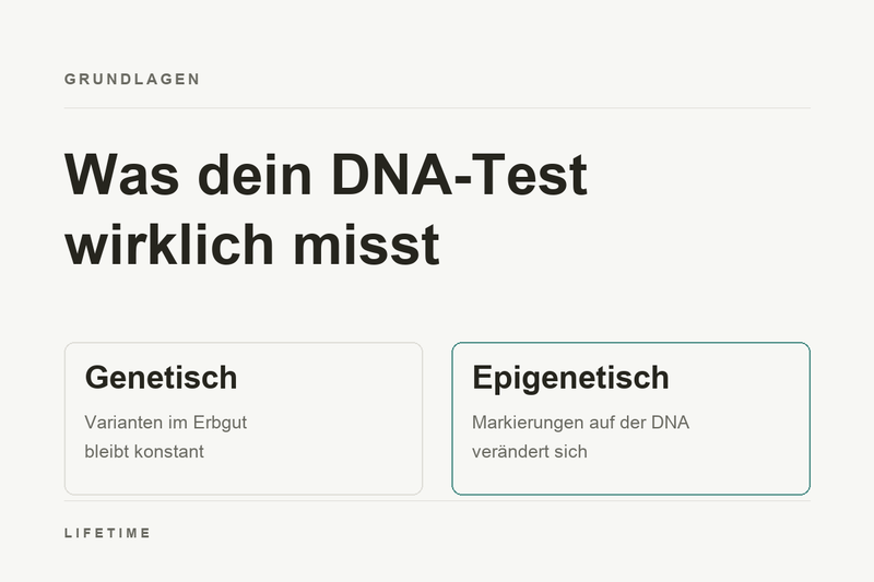 Titelbild: zwei Ebenen nebeneinander. Links die genetische Ebene mit Varianten im Erbgut, konstant. Rechts die epigenetische Ebene mit Markierungen auf der DNA, veränderlich.