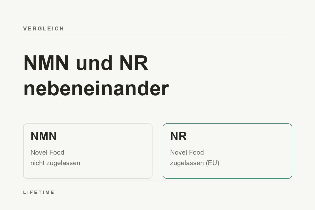 Vergleich NMN und NR: NMN ist in der EU nicht zugelassen, NR ist als Novel Food zugelassen.