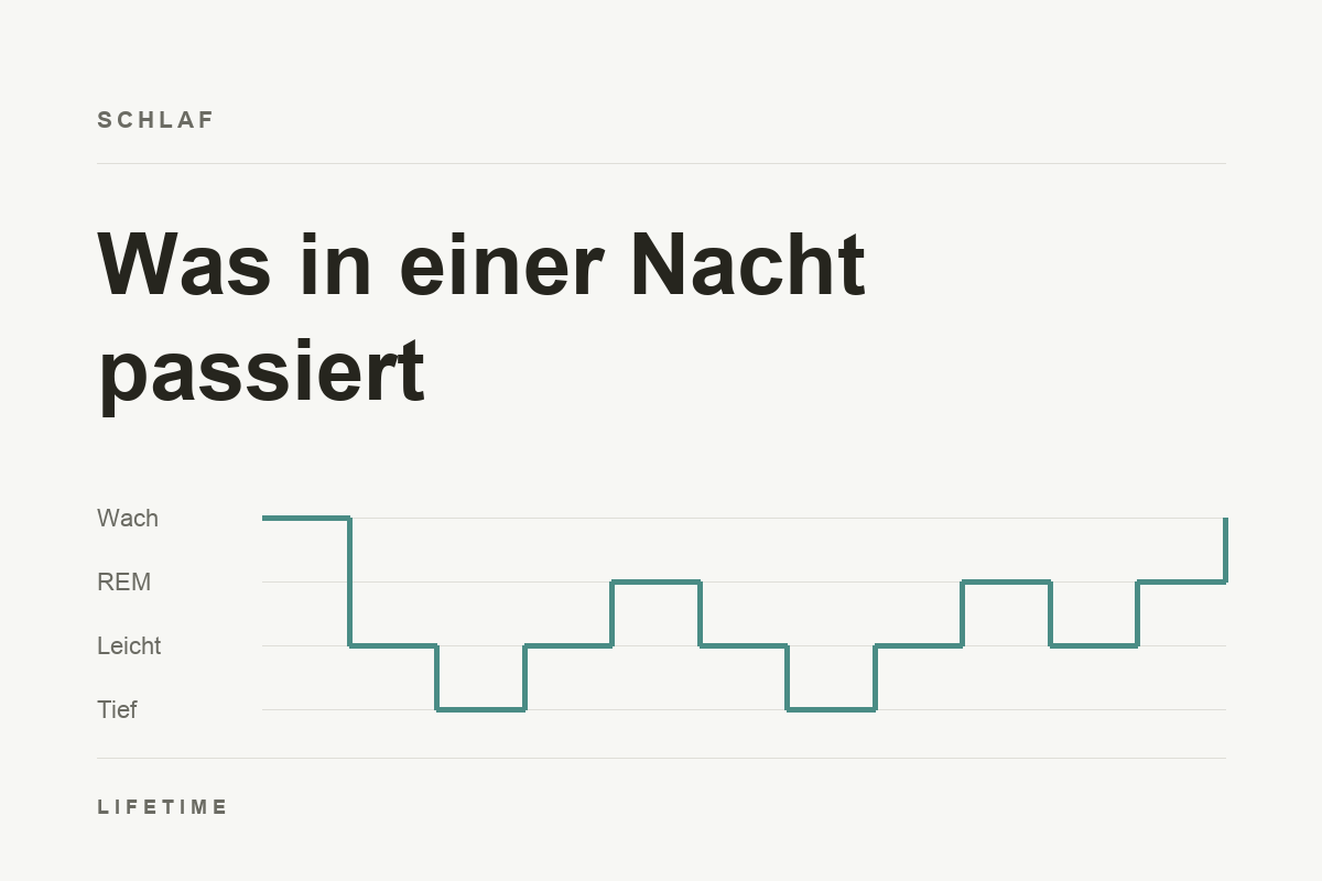 Schematisches Hypnogramm einer Nacht: Der Schlaf wechselt zwischen Wach, REM, Leichtschlaf und Tiefschlaf und wiederholt diese Zyklen mehrmals.