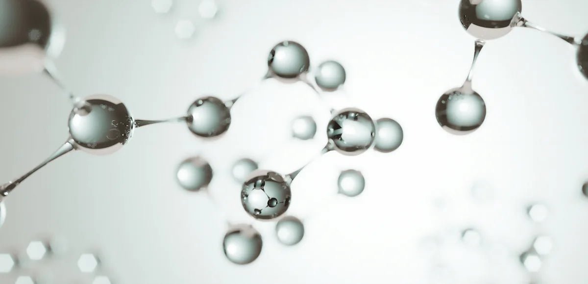 Die Biologie des Alterns  - LIFETIME Longevity & Health