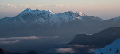 Zugang zu den neuesten Erkenntnissen der Longevity-Forschung