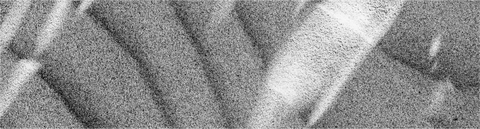 Wissenschaft steckt in unserer DNA