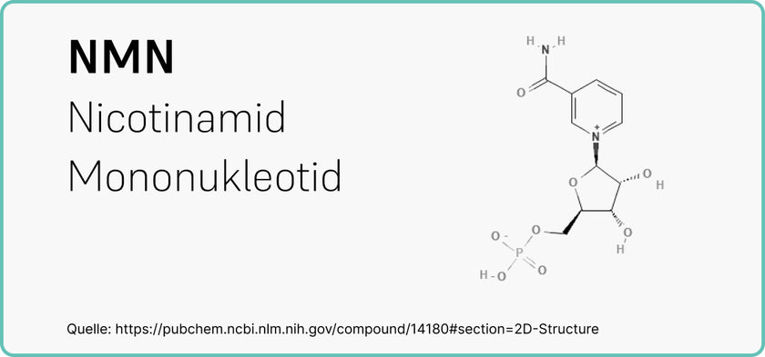 Strukturformel von Nicotinamid-Mononukleotid (NMN)