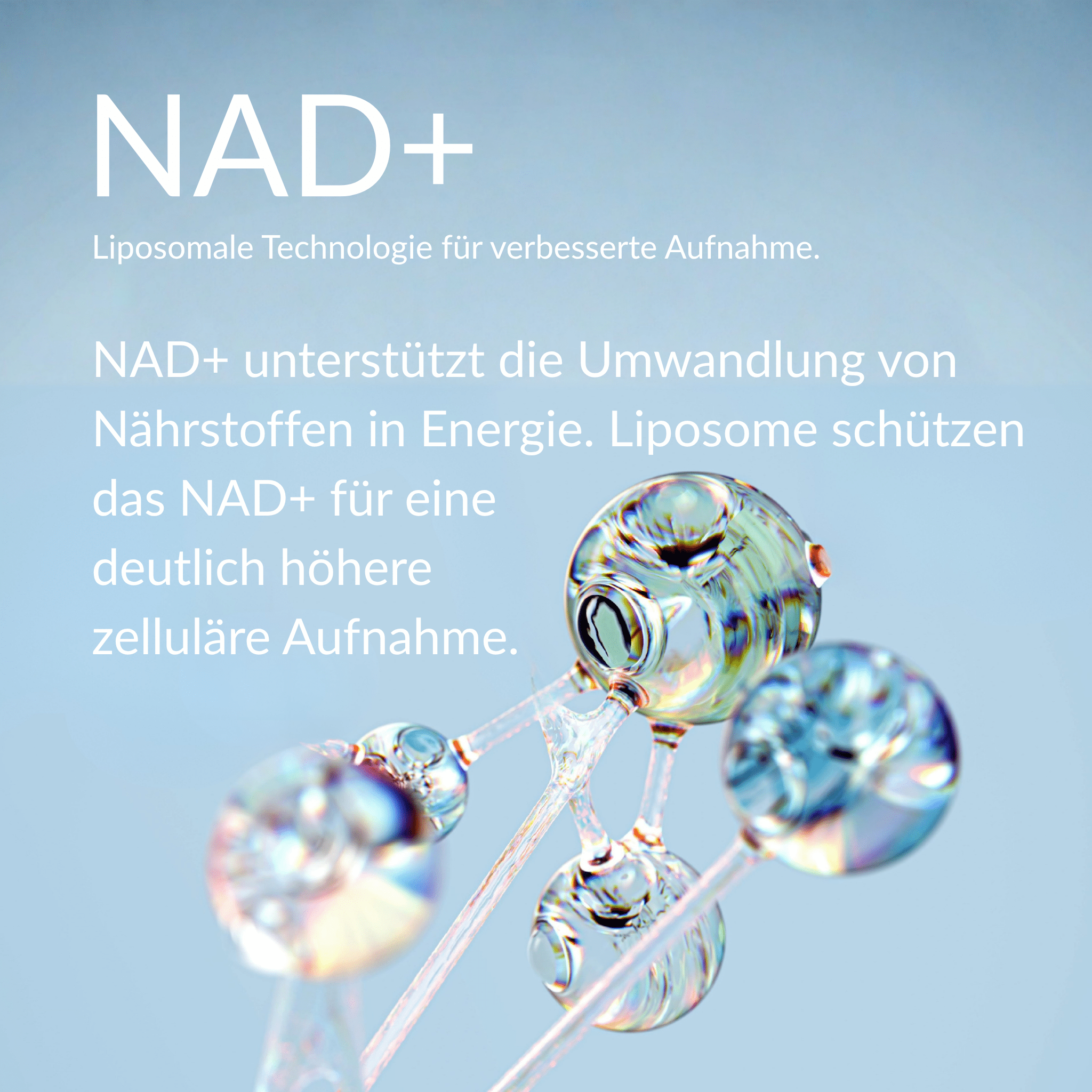 NAD⁺-Booster (liposomal)
