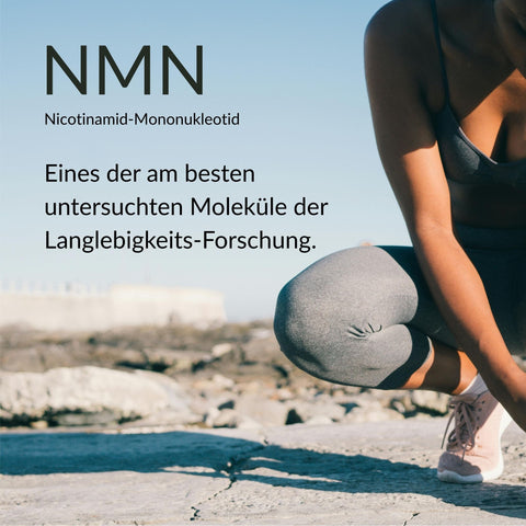 NMN Pulver