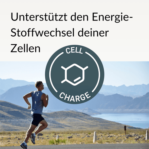 NAD⁺-Booster (liposomal)